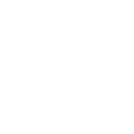 logo wordpress